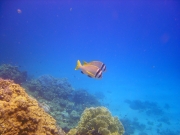 DSC05608m 