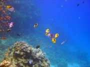 DSC05621m 