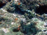 DSC00458 