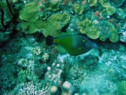 DSC01655 