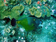 DSC01656 
