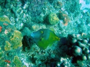 DSC01658 