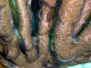 DSC00946 