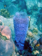 DSC01501 