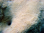 DSC01630 