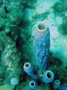 DSC01654 