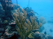 DSC01128 