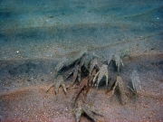 DSC01271 
